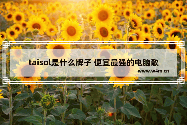 taisol是什么牌子 便宜最强的电脑散热器品牌