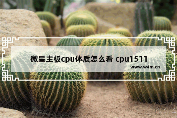 微星主板cpu体质怎么看 cpu1511-1pn无法run模式