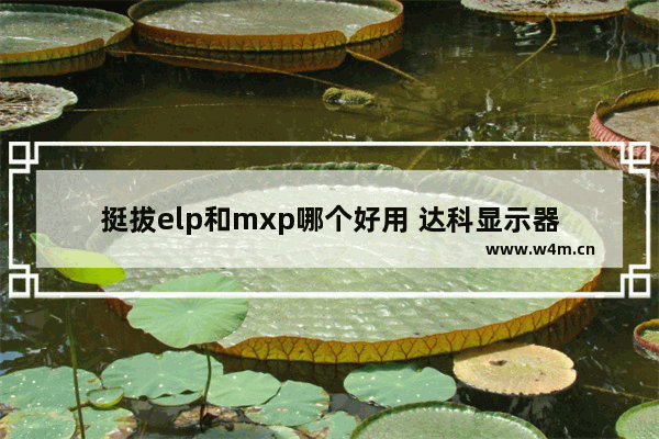 挺拔elp和mxp哪个好用 达科显示器