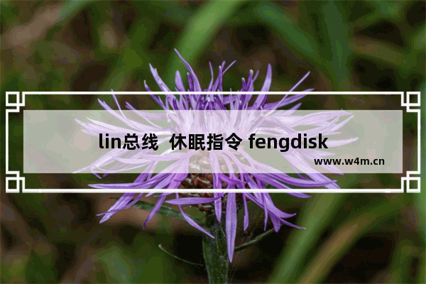 lin总线  休眠指令 fengdisk固态硬盘