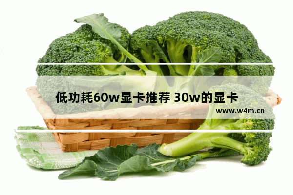 低功耗60w显卡推荐 30w的显卡