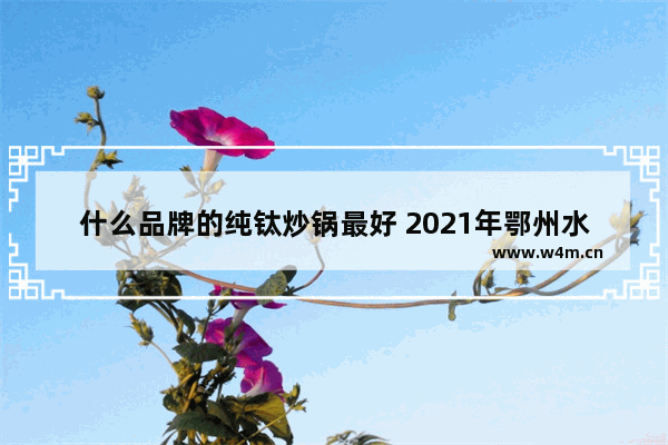 什么品牌的纯钛炒锅最好 2021年鄂州水费标准