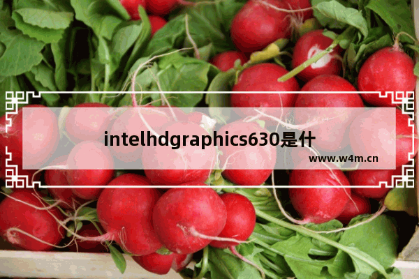 intelhdgraphics630是什么 Graphics 630显卡怎么样