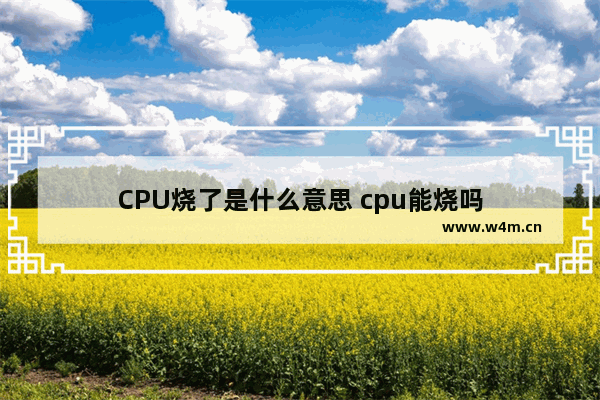 CPU烧了是什么意思 cpu能烧吗