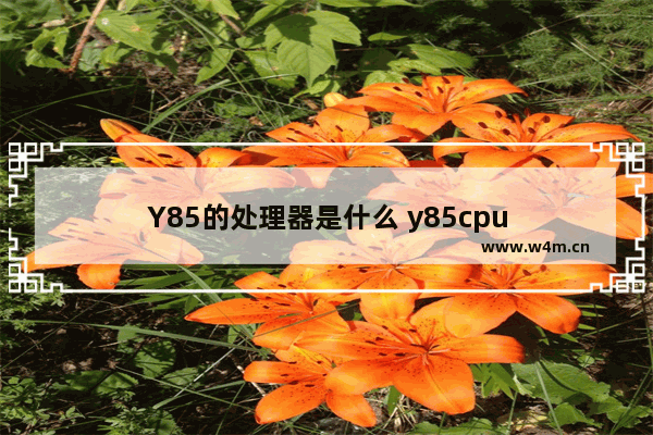 Y85的处理器是什么 y85cpu