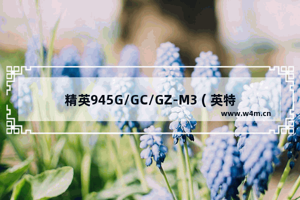 精英945G/GC/GZ-M3 ( 英特尔945G )主板支持的最高CPU 电脑主板ci945g