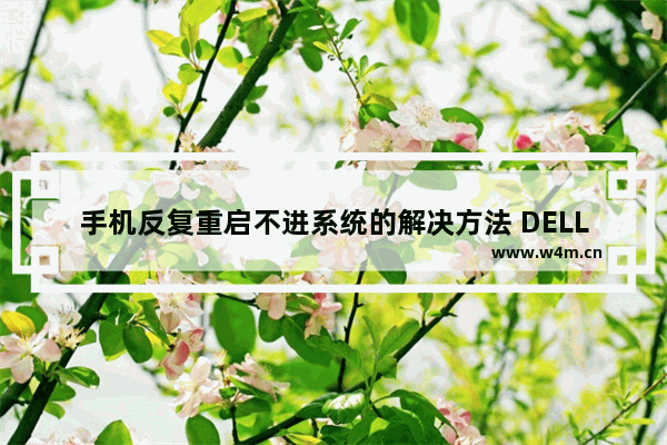 手机反复重启不进系统的解决方法 DELL电脑不断重新启动开不了机怎么办