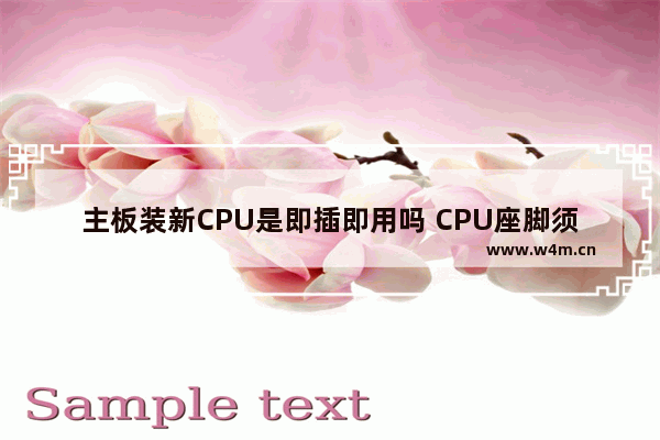 主板装新CPU是即插即用吗 CPU座脚须