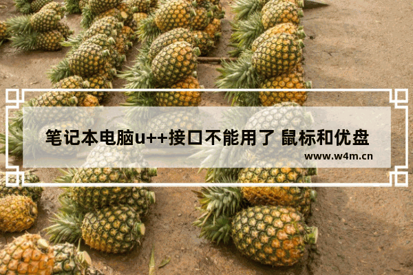 笔记本电脑u++接口不能用了 鼠标和优盘插上都没反应 怎么办 笔记本电脑u++没反应