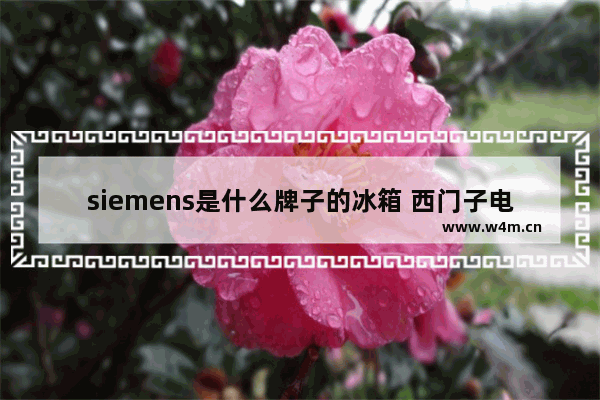 siemens是什么牌子的冰箱 西门子电脑有几个品牌标志