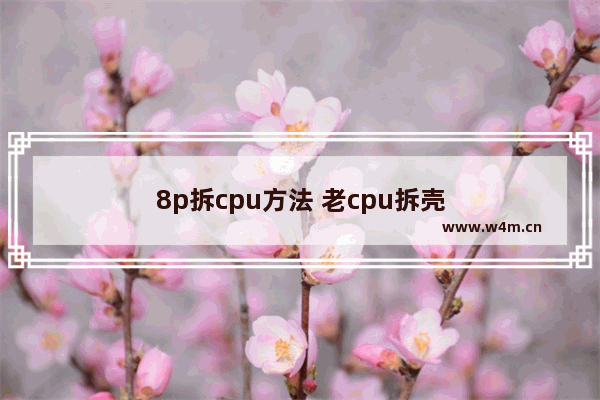 8p拆cpu方法 老cpu拆壳