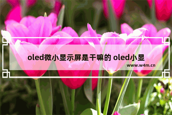 oled微小显示屏是干嘛的 oled小显示器