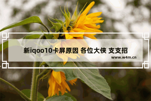 新iqoo10卡屏原因 各位大侠 支支招 屏幕偶尔卡屏 按下电源键又好了 怎么回事啊