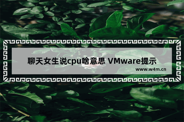 聊天女生说cpu啥意思 VMware提示&quot CPU已被客户机操作系统禁用。你将必须关闭电源或重置该虚拟机。&quot 