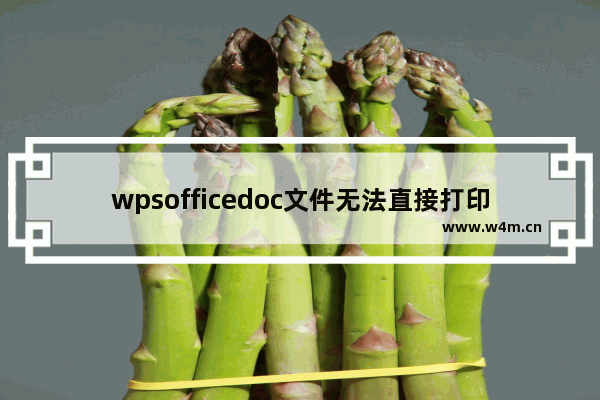 wpsofficedoc文件无法直接打印 hp2138安装驱动仍不能打印