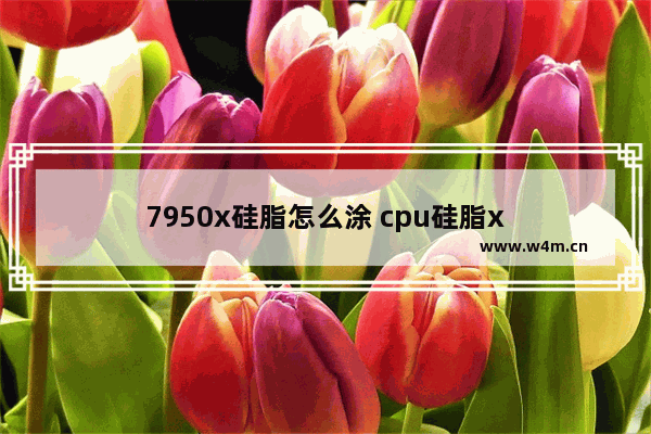 7950x硅脂怎么涂 cpu硅脂x