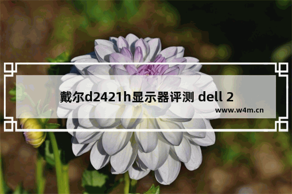 戴尔d2421h显示器评测 dell 2421 固态硬盘