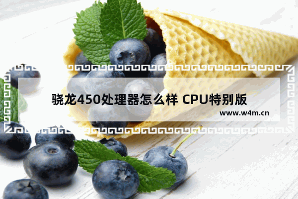 骁龙450处理器怎么样 CPU特别版