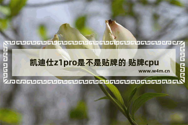 凯迪仕z1pro是不是贴牌的 贴牌cpu骗