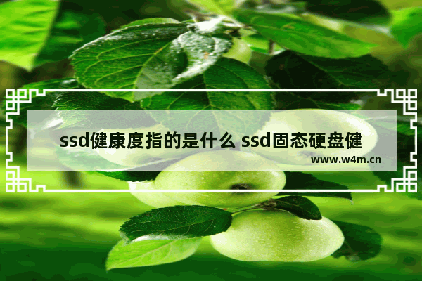 ssd健康度指的是什么 ssd固态硬盘健康