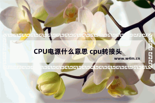 CPU电源什么意思 cpu转接头