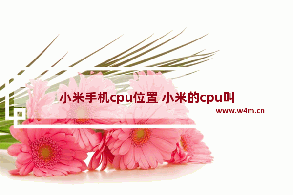 小米手机cpu位置 小米的cpu叫