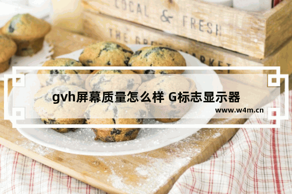 gvh屏幕质量怎么样 G标志显示器