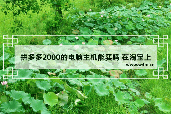 拼多多2000的电脑主机能买吗 在淘宝上买主机靠谱吗