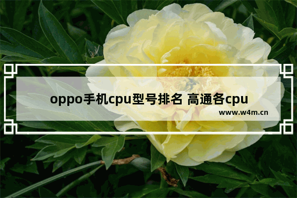 oppo手机cpu型号排名 高通各cpu