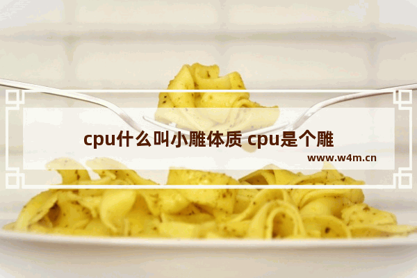 cpu什么叫小雕体质 cpu是个雕