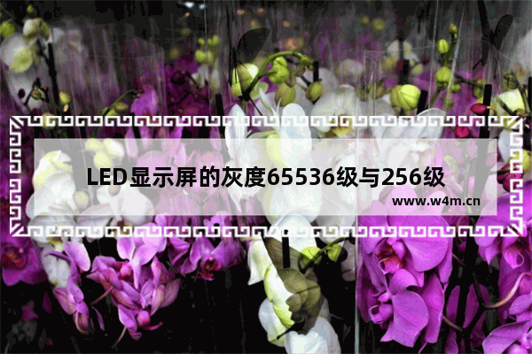 LED显示屏的灰度65536级与256级 1024级的对比。请高手指点 21级灰度怎么区分