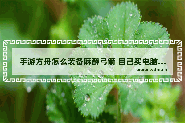 手游方舟怎么装备麻醉弓箭 自己买电脑组装攻略手游