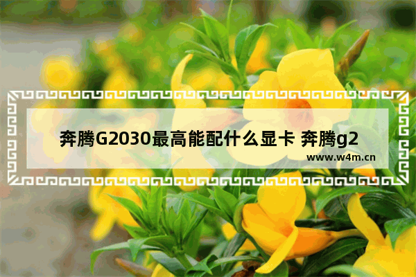 奔腾G2030最高能配什么显卡 奔腾g2030核显相当于什么级别