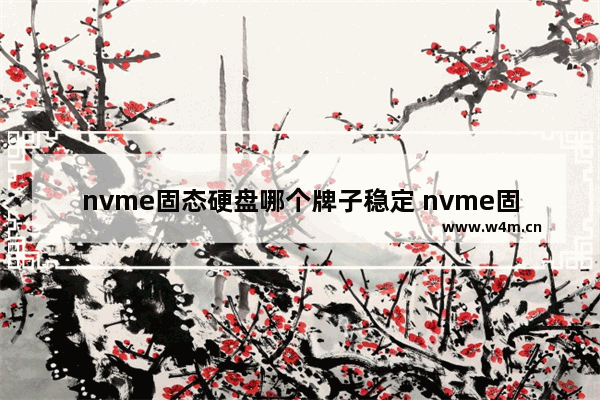 nvme固态硬盘哪个牌子稳定 nvme固态硬盘推荐