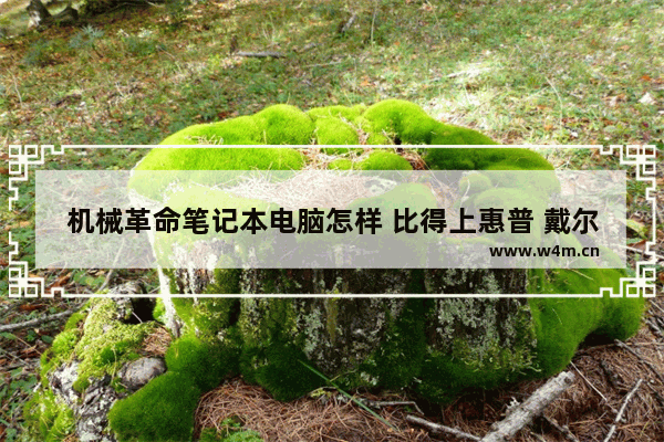 机械革命笔记本电脑怎样 比得上惠普 戴尔 联想这几个牌子吗 10年手提电脑品牌