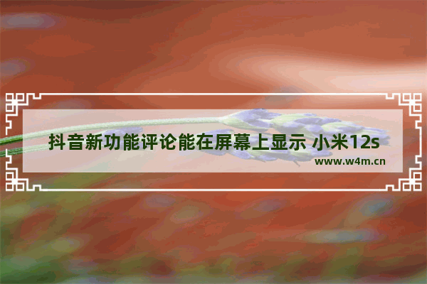 抖音新功能评论能在屏幕上显示 小米12s屏幕参数