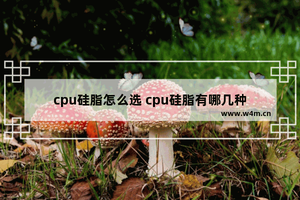 cpu硅脂怎么选 cpu硅脂有哪几种