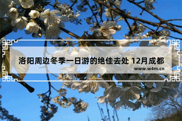 洛阳周边冬季一日游的绝佳去处 12月成都周边看红叶一日游