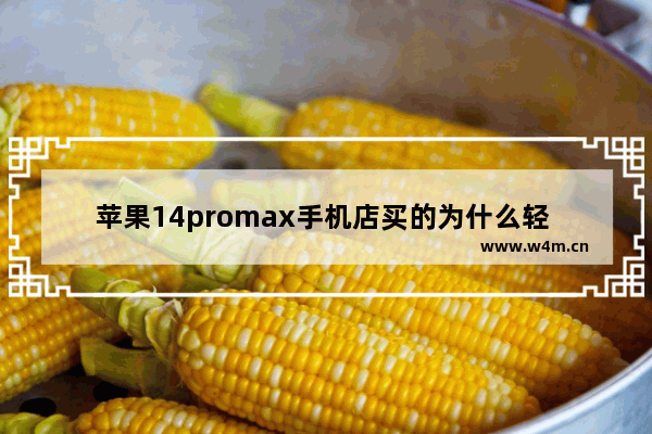 苹果14promax手机店买的为什么轻 显示器轻好