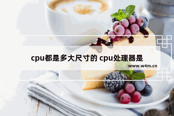 cpu都是多大尺寸的 cpu处理器是