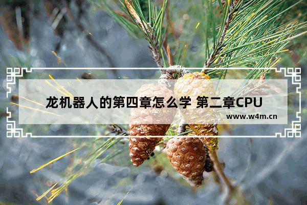 龙机器人的第四章怎么学 第二章CPU