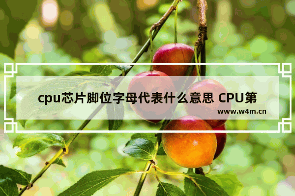 cpu芯片脚位字母代表什么意思 CPU第一脚