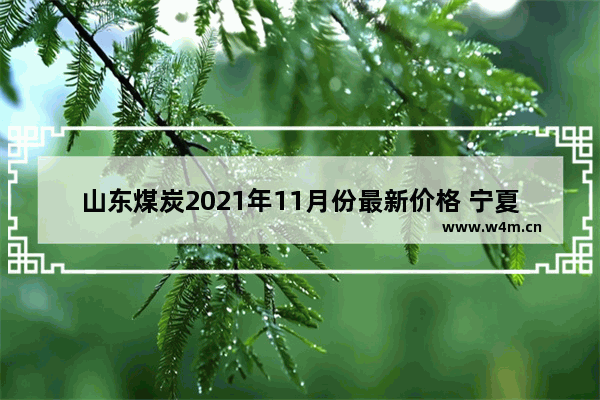 山东煤炭2021年11月份最新价格 宁夏电脑板品牌价格是多少