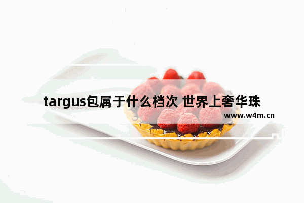 targus包属于什么档次 世界上奢华珠宝品牌排名如何 如卡地亚 梵克雅宝 CHAUMET等~