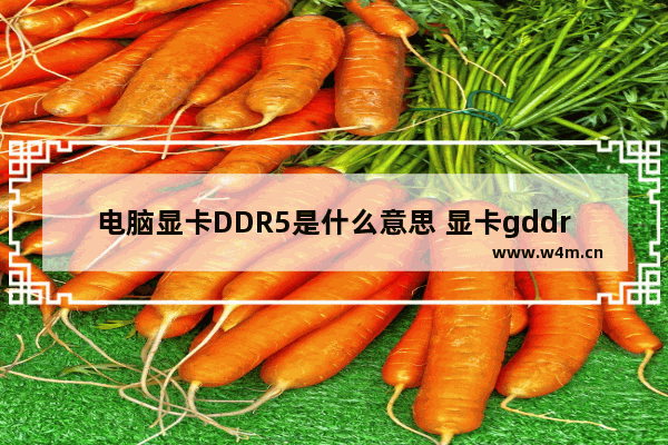 电脑显卡DDR5是什么意思 显卡gddr5什么意思