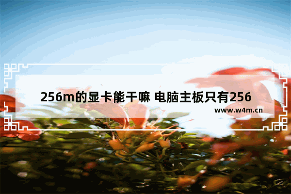 256m的显卡能干嘛 电脑主板只有256m