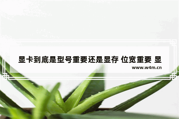 显卡到底是型号重要还是显存 位宽重要 显卡位宽重要还是显存重要