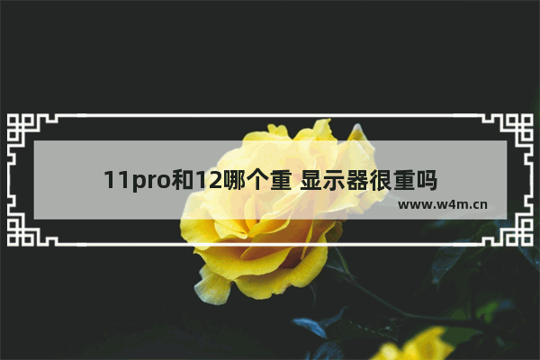 11pro和12哪个重 显示器很重吗