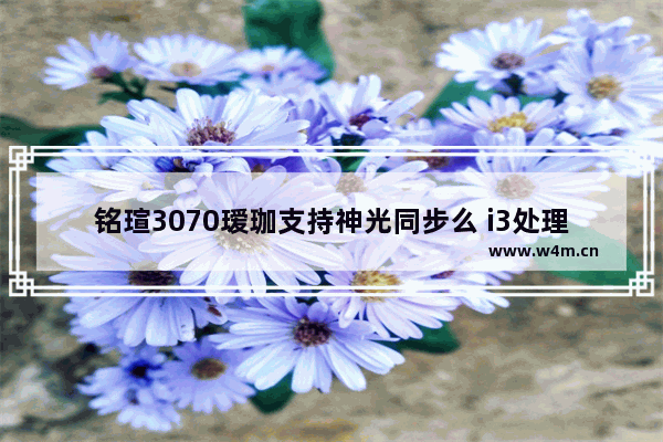 铭瑄3070瑷珈支持神光同步么 i3处理器能玩什么steam游戏