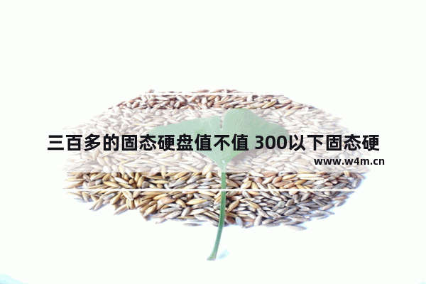 三百多的固态硬盘值不值 300以下固态硬盘